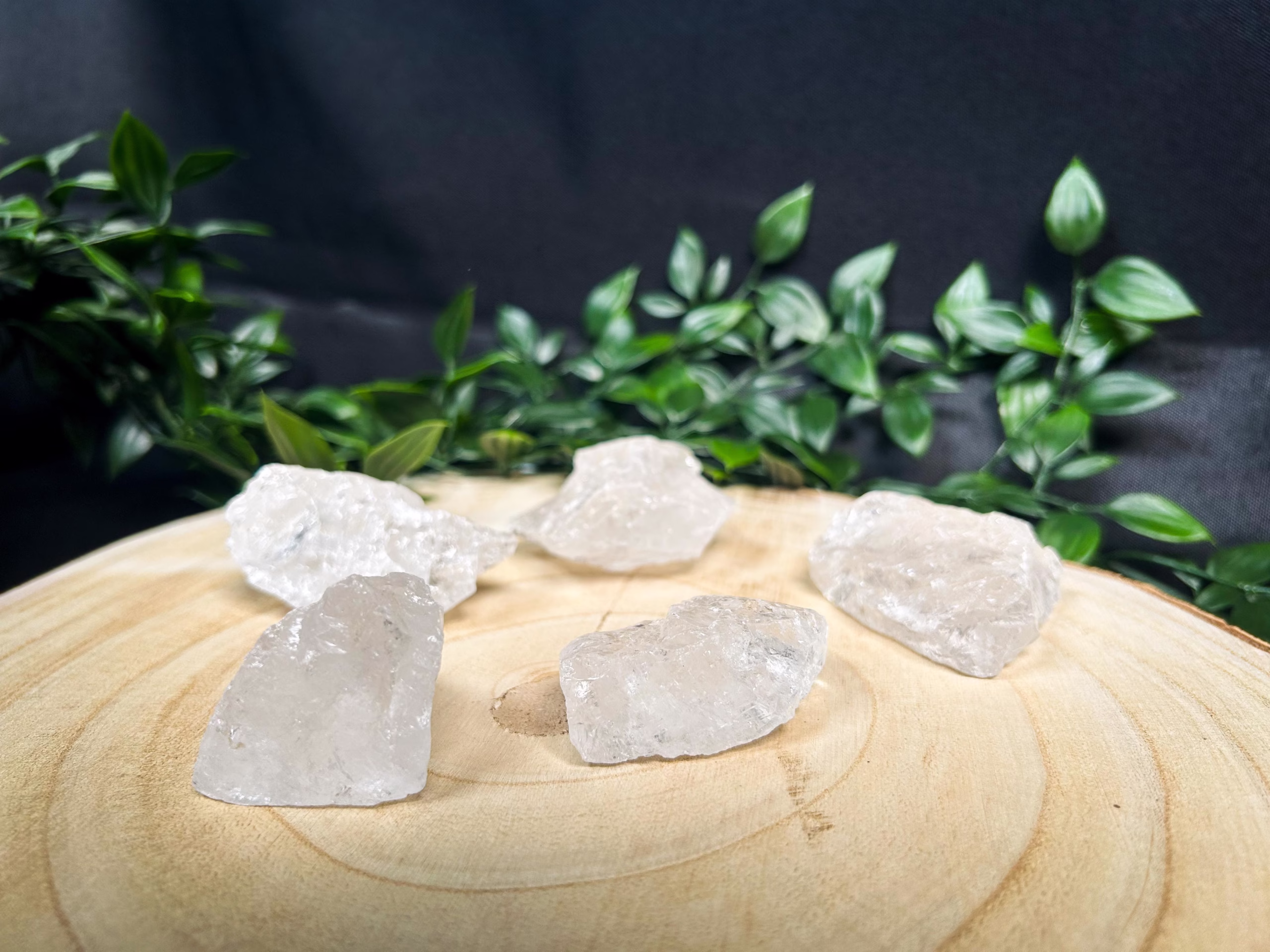 kamena strela surova