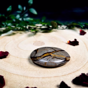 septarija palmstone S