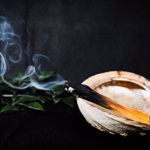 palo santo sveti les