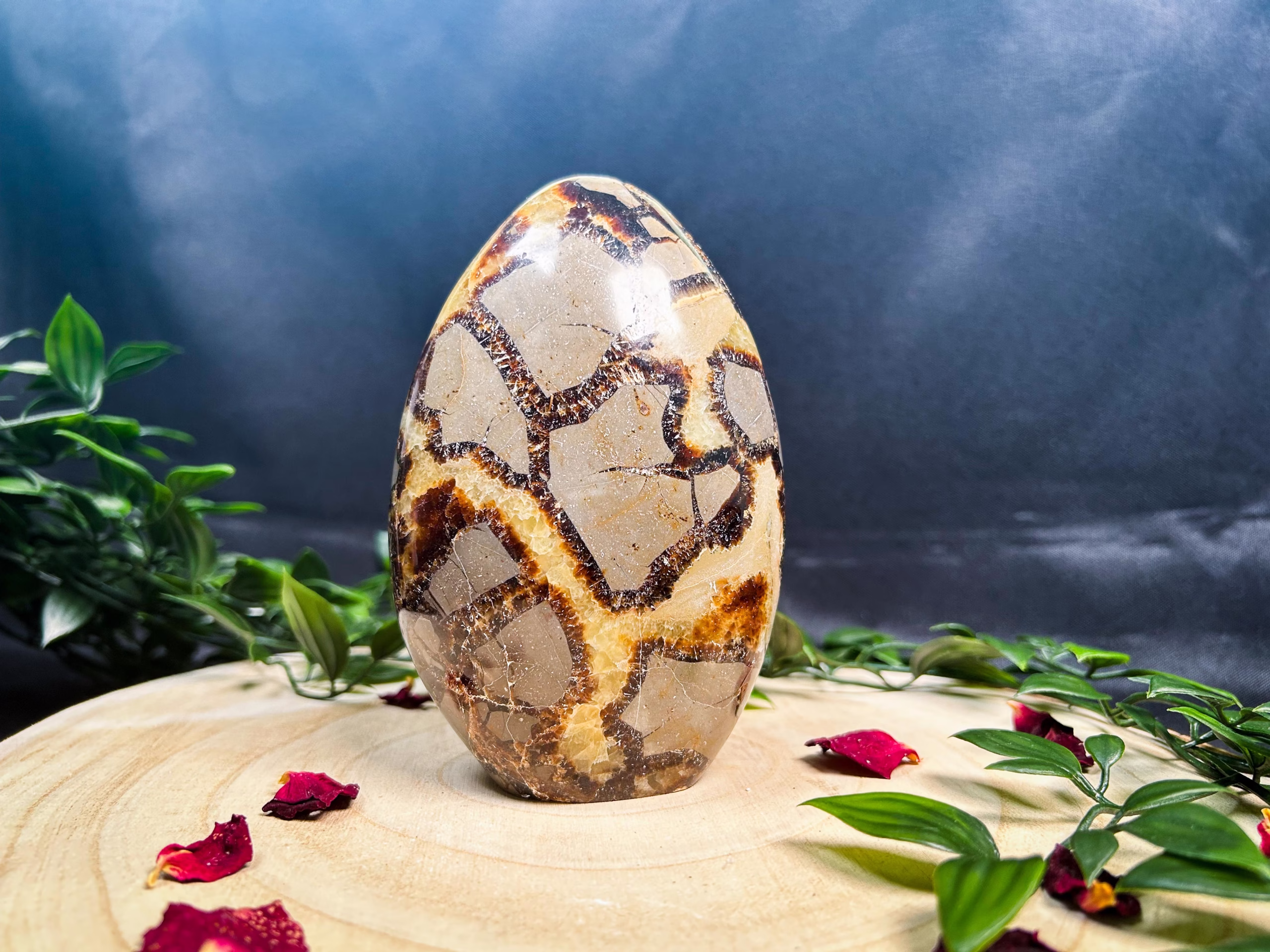 septarija freeform 002